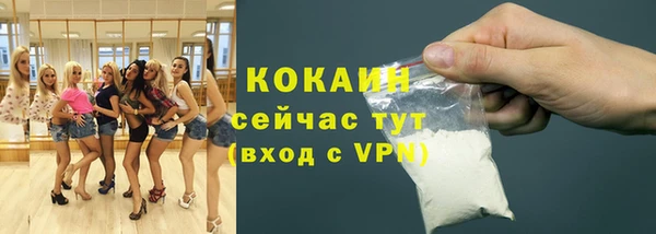 дживик Арсеньев