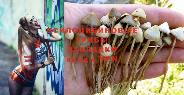 ГАЛЛЮЦИНОГЕННЫЕ ГРИБЫ Алексин