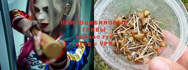 метадон Армянск