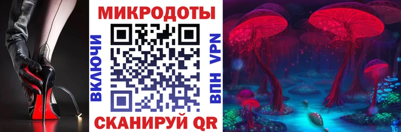 Псилоцибиновые грибы Psilocybe  где можно купить наркотик  Кемерово 