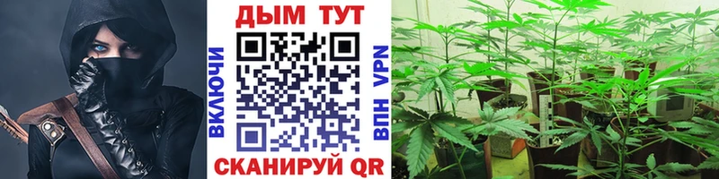 закладки  площадка официальный сайт  Шишки марихуана марихуана  Кемерово 